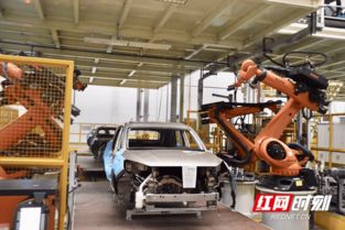 點(diǎn)贊 湖南智造 中非經(jīng)貿(mào)博覽會(huì)代表團(tuán)走進(jìn)獵豹汽車(chē)長(zhǎng)沙廠(chǎng)