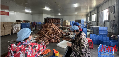 衡南縣江口鎮(zhèn)大力發(fā)展鄉(xiāng)村車(chē)間 助力鄉(xiāng)村振興